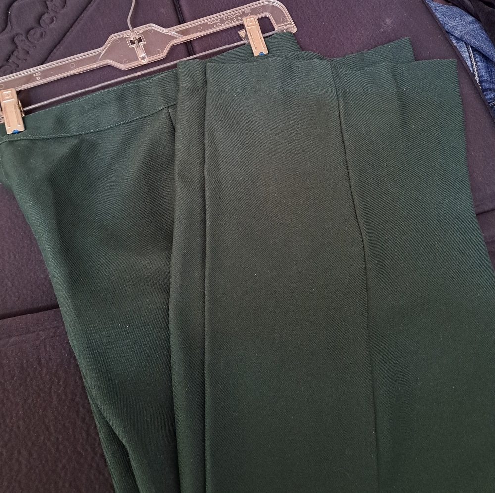 Put On  vintage Western ladies pant size 10 . 29.00